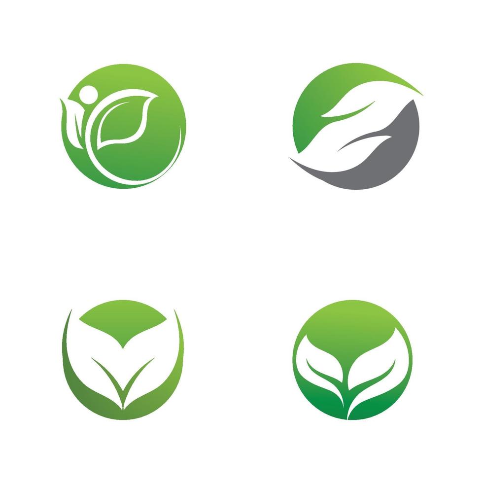 logotipos de la ecología de la hoja del árbol verde vector