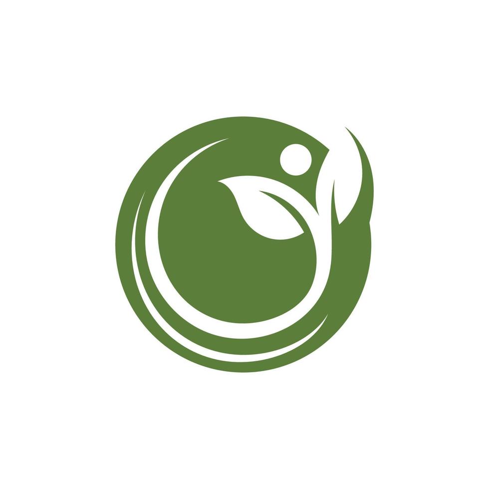 logotipos de la ecología de la hoja del árbol verde vector