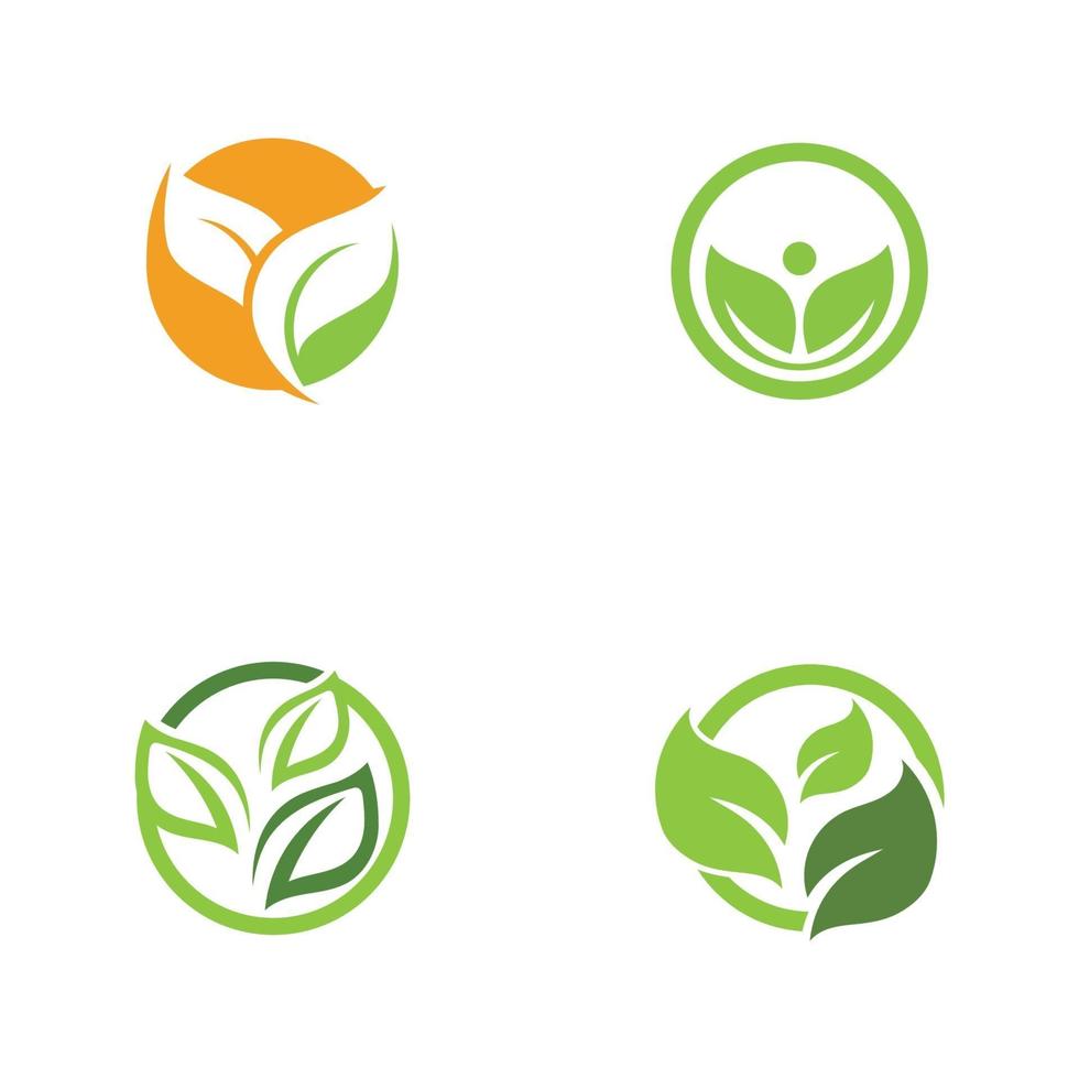 Logos of green Tree leaf ecology vector