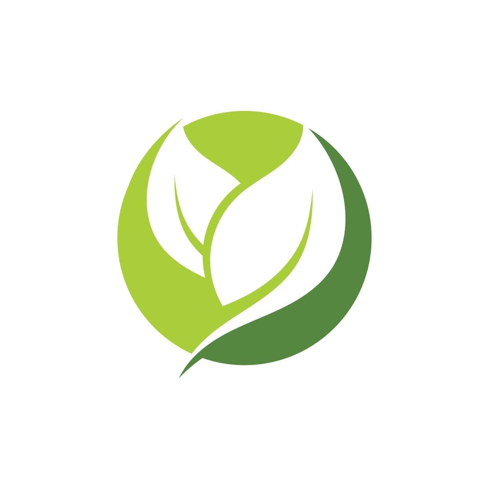 logotipos de la ecología de la hoja del árbol verde vector