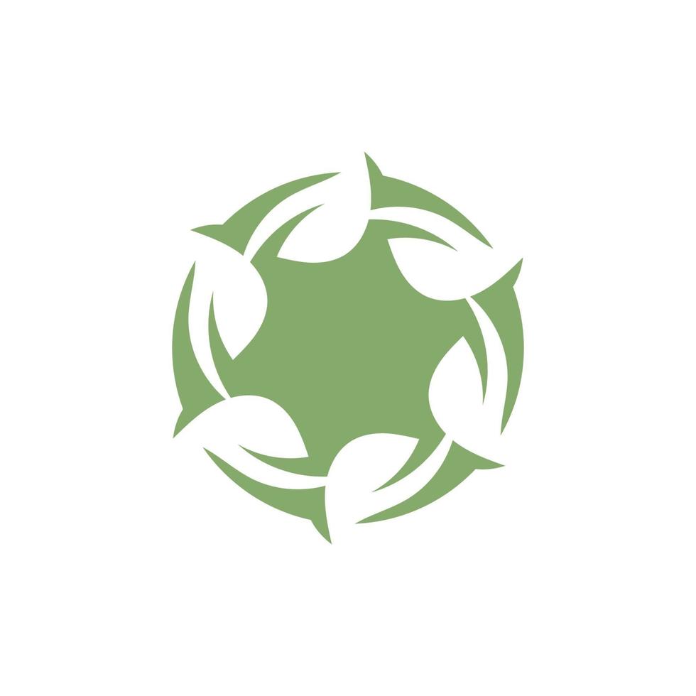 logotipos de la ecología de la hoja del árbol verde vector