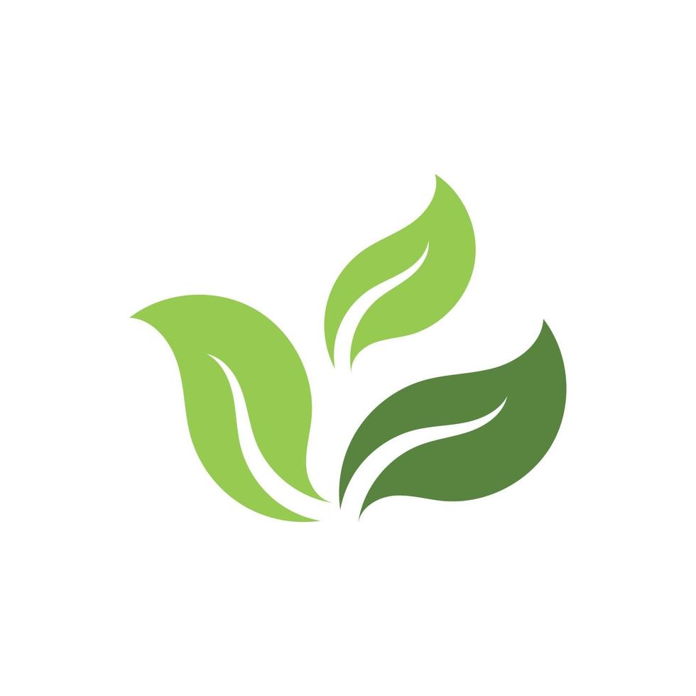 hoja verde ecología naturaleza logo elemento vector imagen