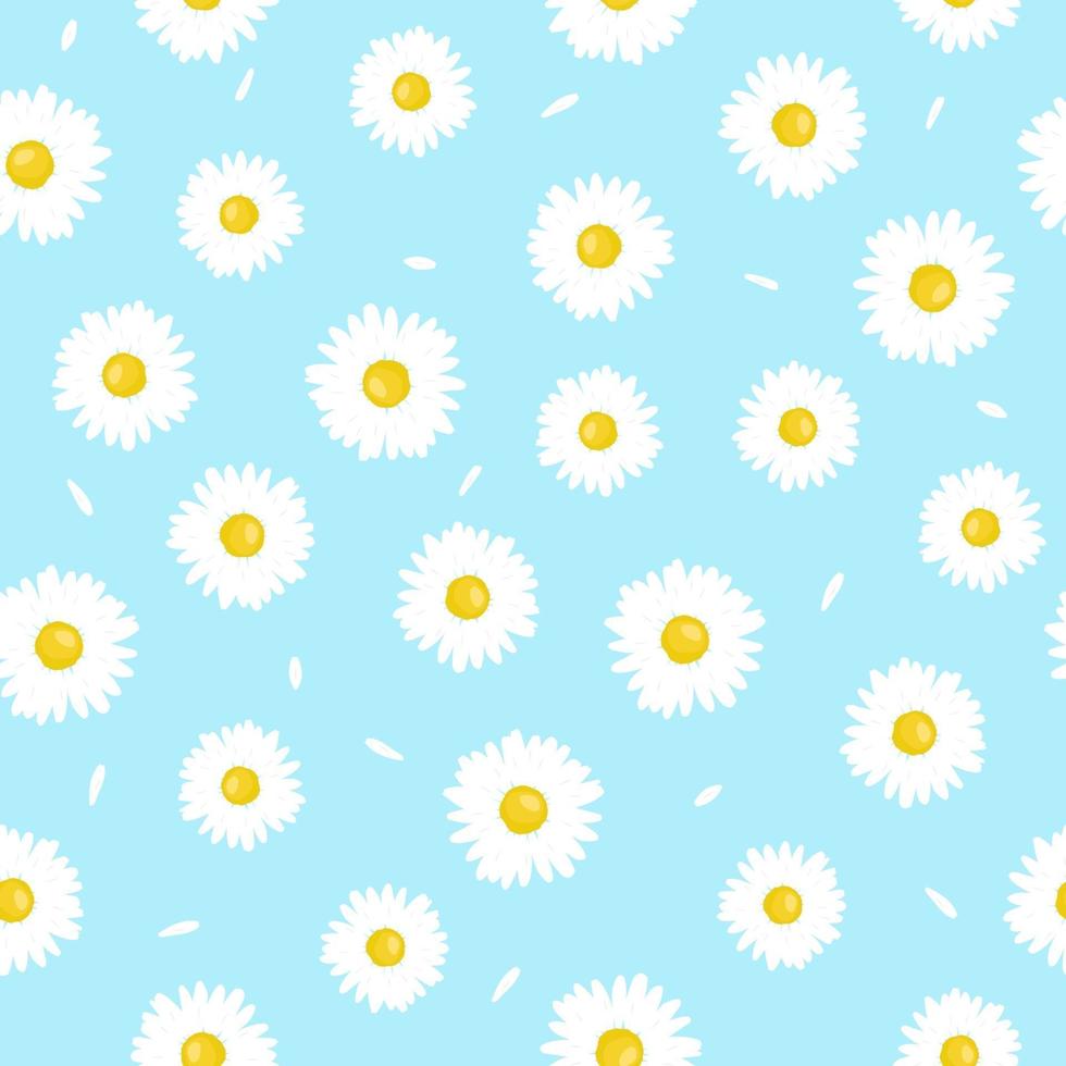 Chamomile flower with petals seamless pattern. Simple summer pattern. vector