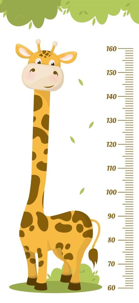 Kids height chart. Child height meter for kindergarten. vector