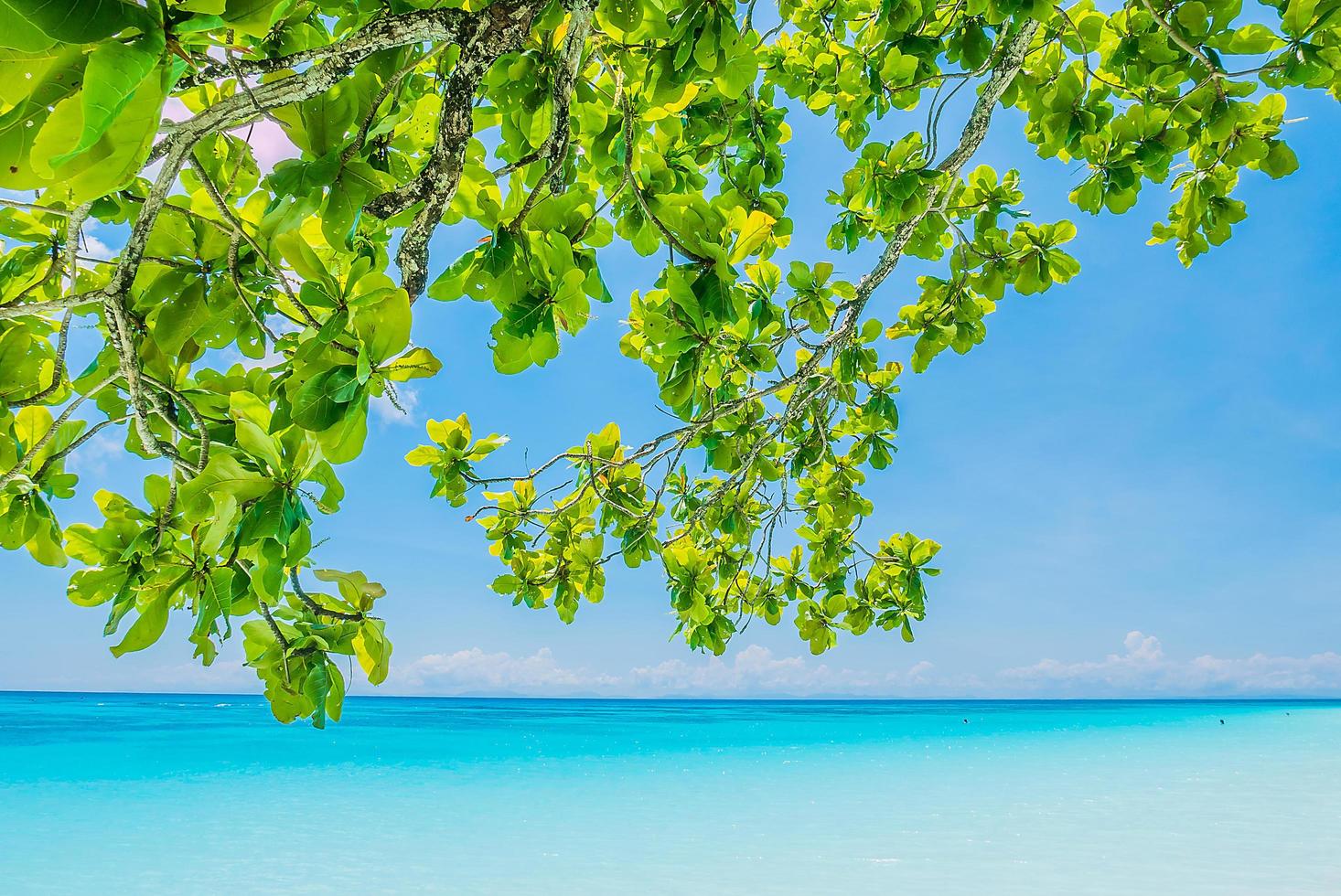 hermoso fondo de playa tropical foto