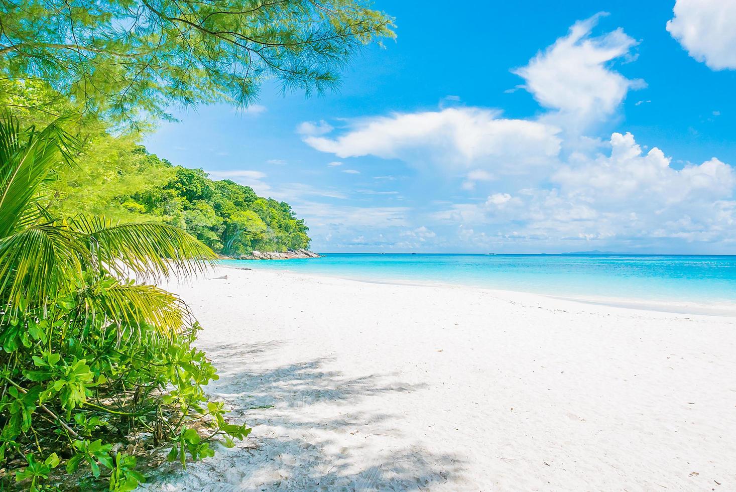 Beautiful tropical beach background photo