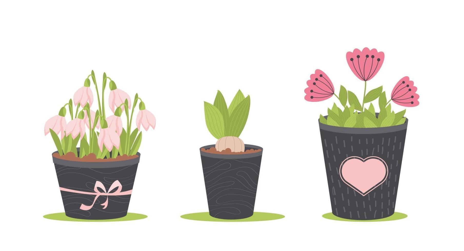 Spring Flowers In Pots, Isolated On White Background, Vector Illustration