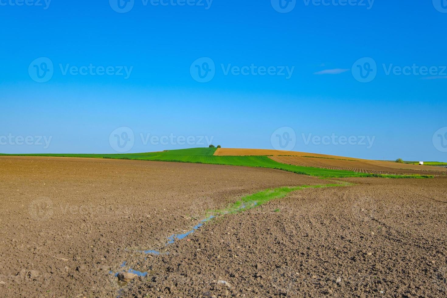 campo preparado para sembrar con cielo azul foto