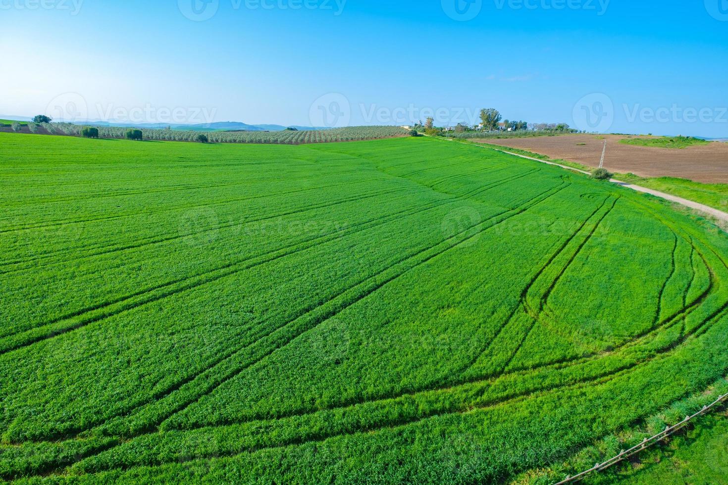 Green rural farm land photo