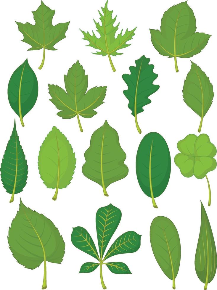 Green foliage clipart, Green leaf clip art, Summer spring leaves By  Pravokrugulnik