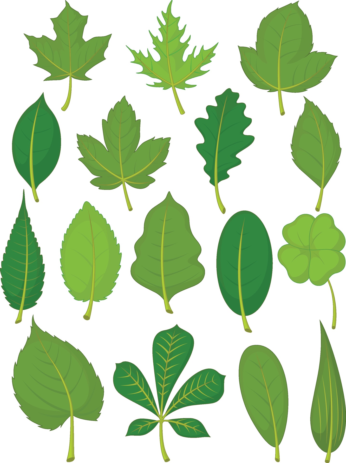 Green Leaves Spring Summer Organic Forest Foliage Cartoon Illustration  2144067 Vector Art at Vecteezy