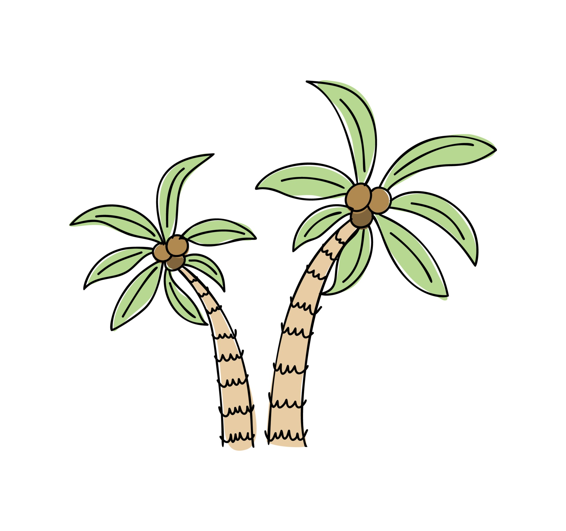 Scandinavian vector summer tropical palm trees doodle isolated on white