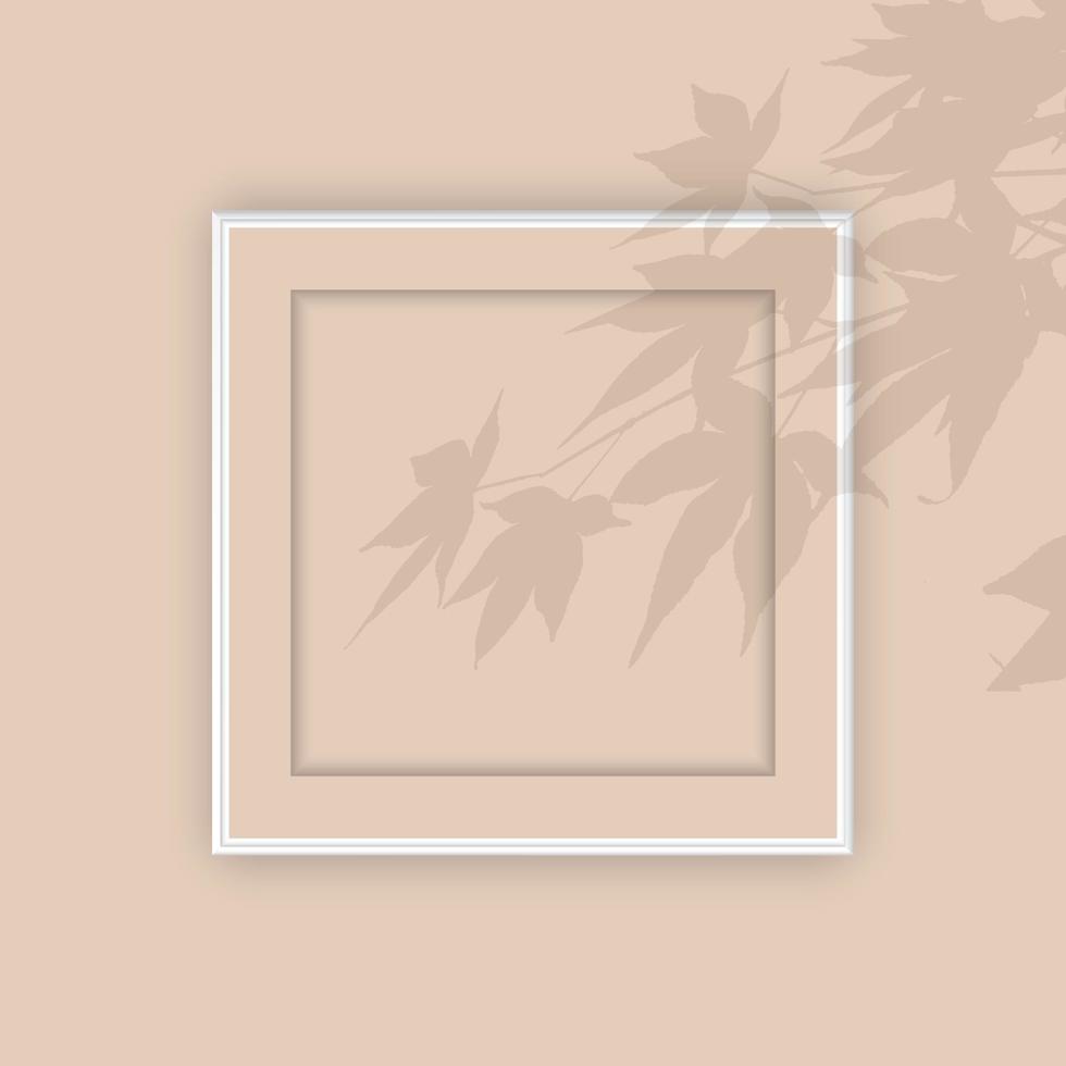 blank picture frame with plant shadow overlay vector