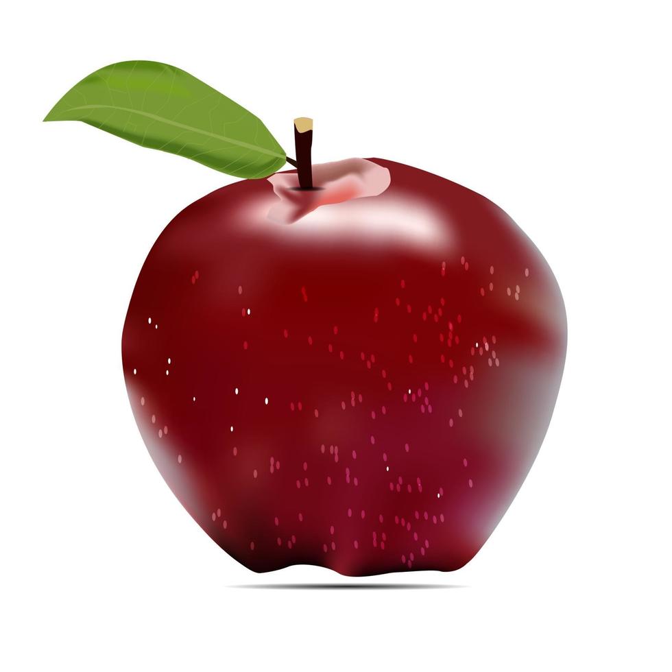 vector realistic apple