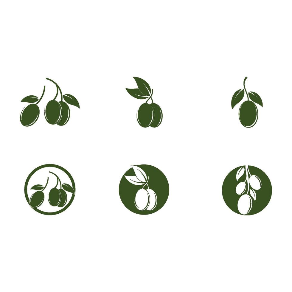 olive icon vector illustration