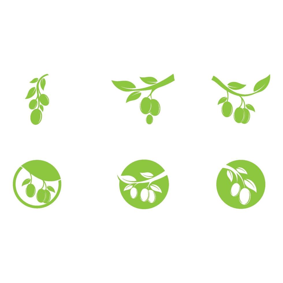 olive icon vector illustration