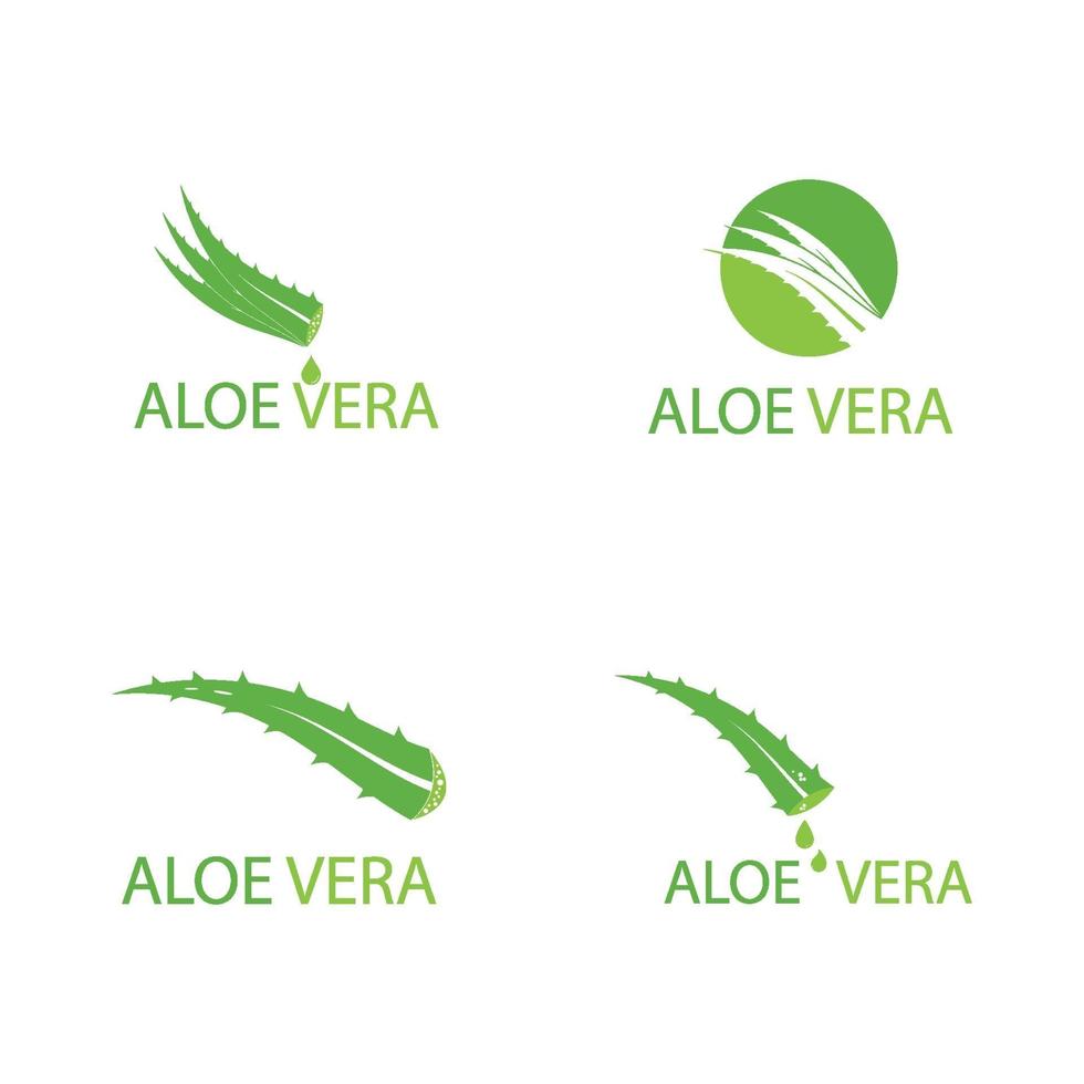 vector logo y símbolo de aloevera