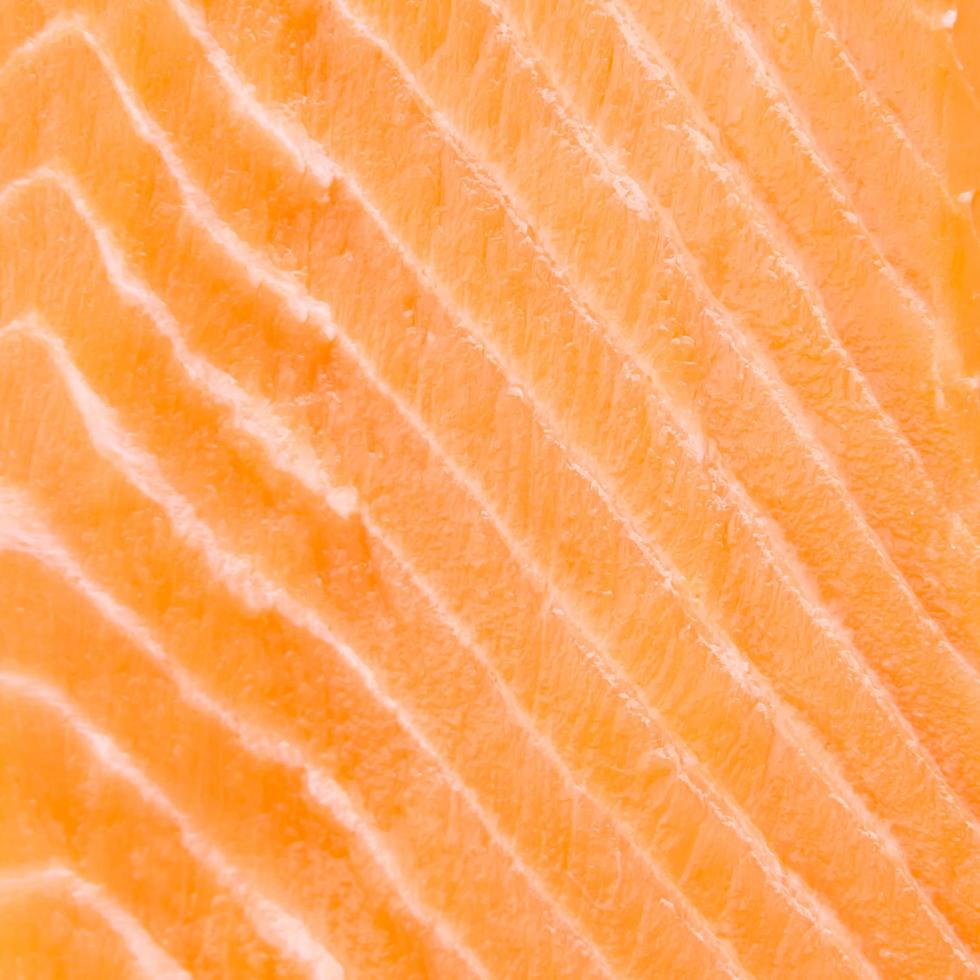 Raw salmon meat photo