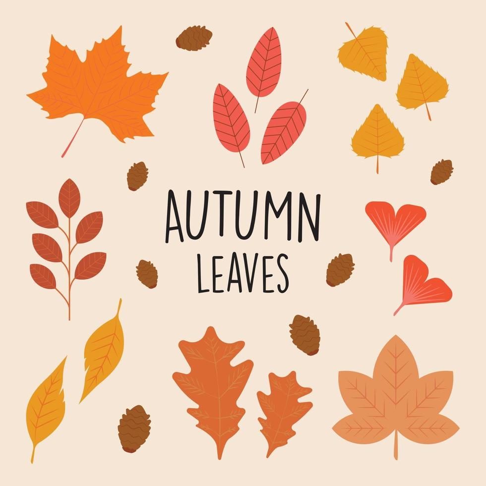 Collection set beautiful autumn leaves in flat color style vector