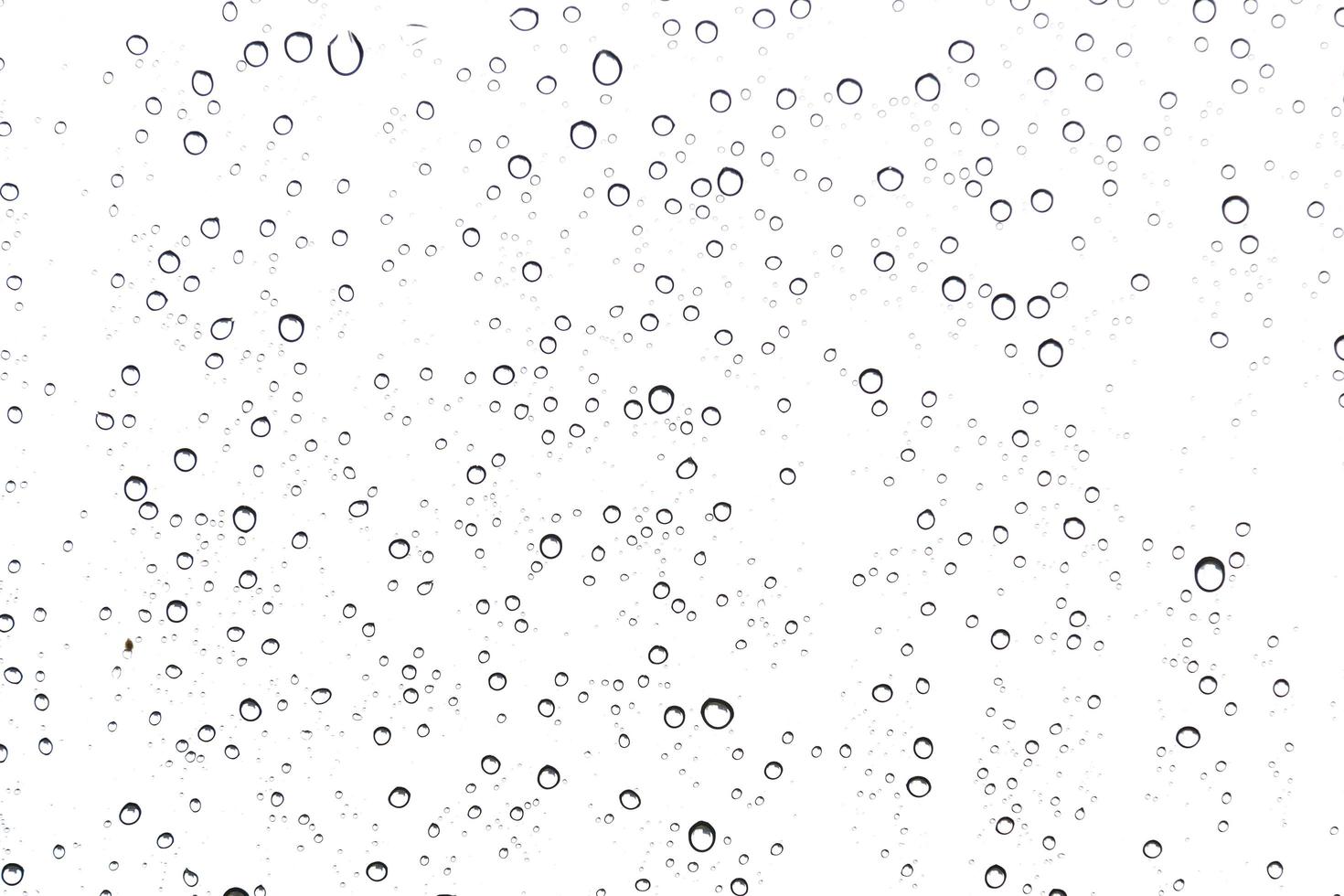 Water rain drops on glass photo