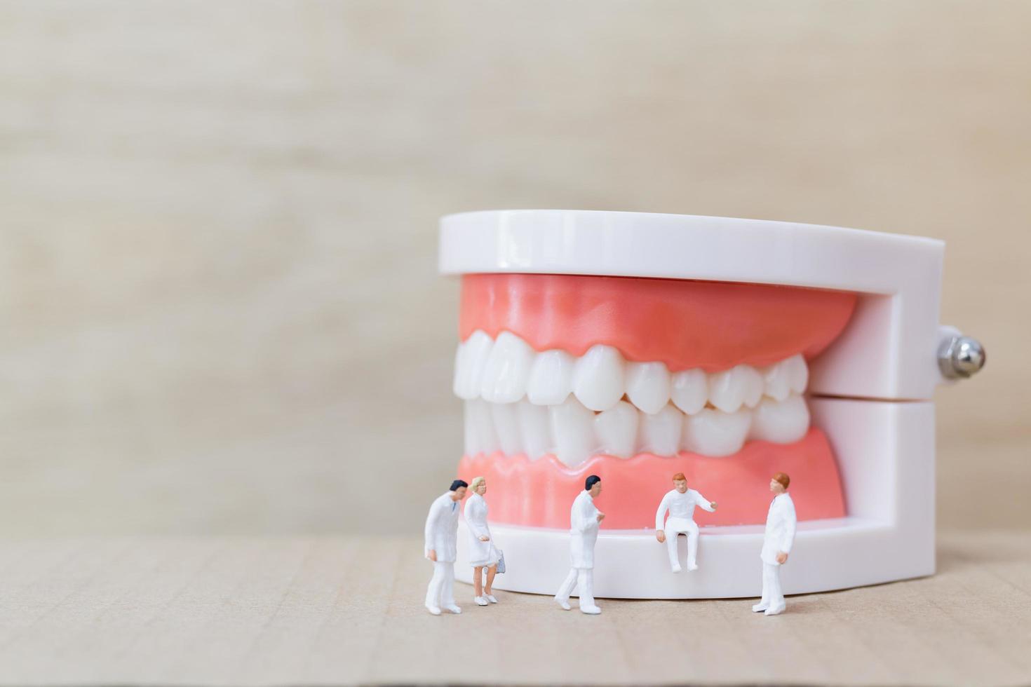 Miniature dentists and nurses observing and discussing about human teeth with gums and enamel model on a wooden background photo