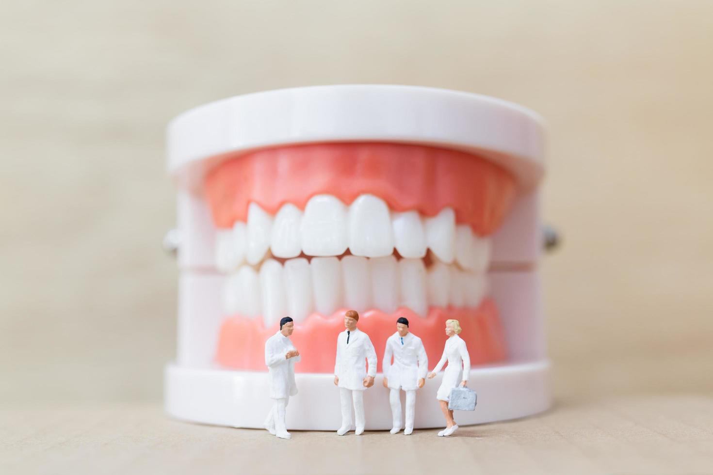 Dentistas y enfermeras en miniatura observando y discutiendo sobre dientes humanos con encías y modelo de esmalte sobre un fondo de madera foto