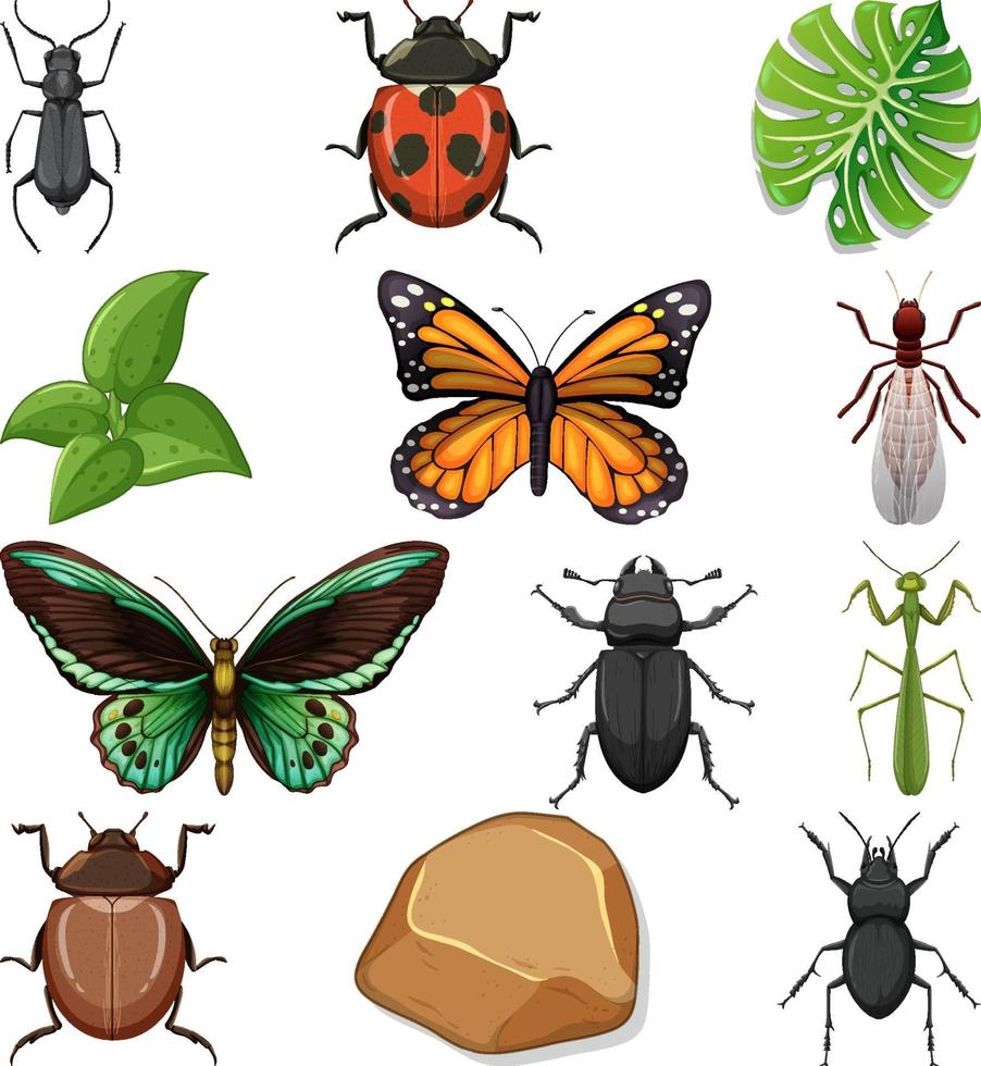 diferentes tipos de insectos con elementos de la naturaleza. vector