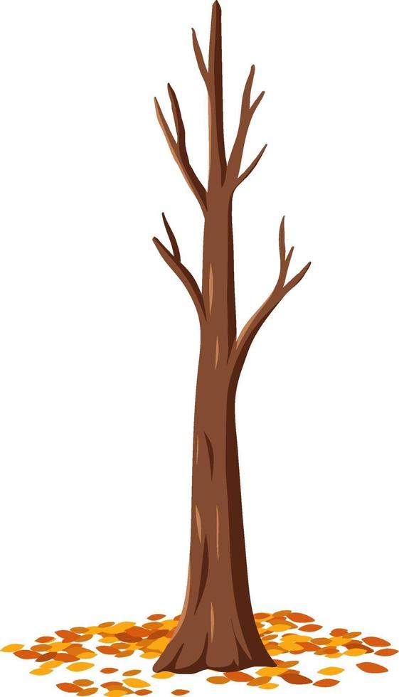 Árbol de otoño aislado sobre fondo blanco. vector