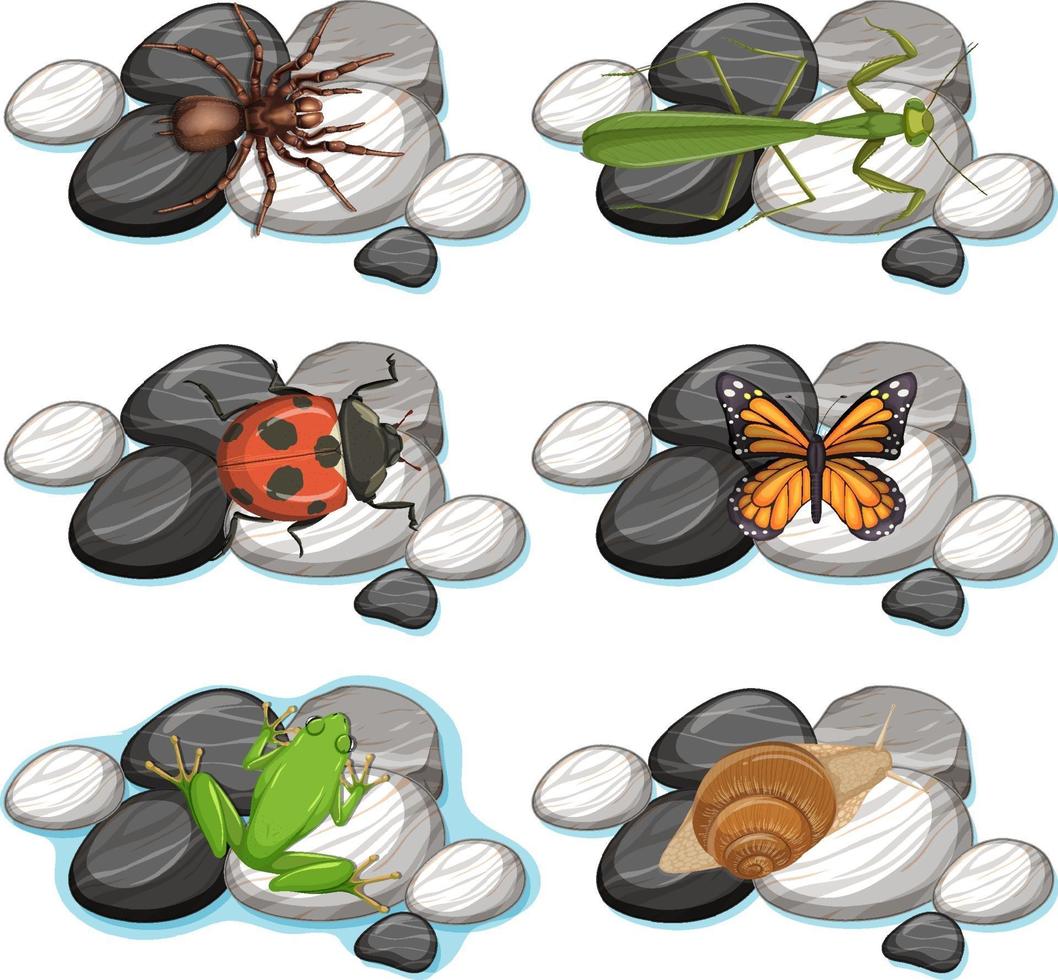 Conjunto de diferentes insectos aislado sobre fondo blanco. vector