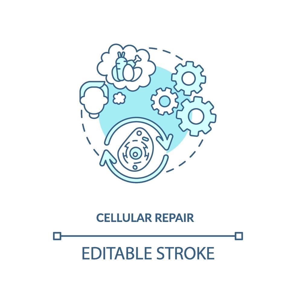 Cellular repair blue concept icon vector