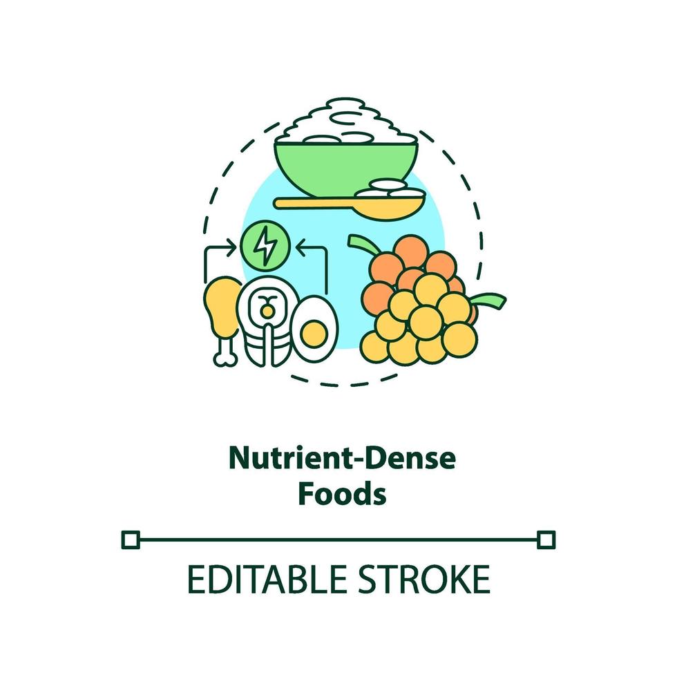 icono de concepto de alimentos densos en nutrientes vector