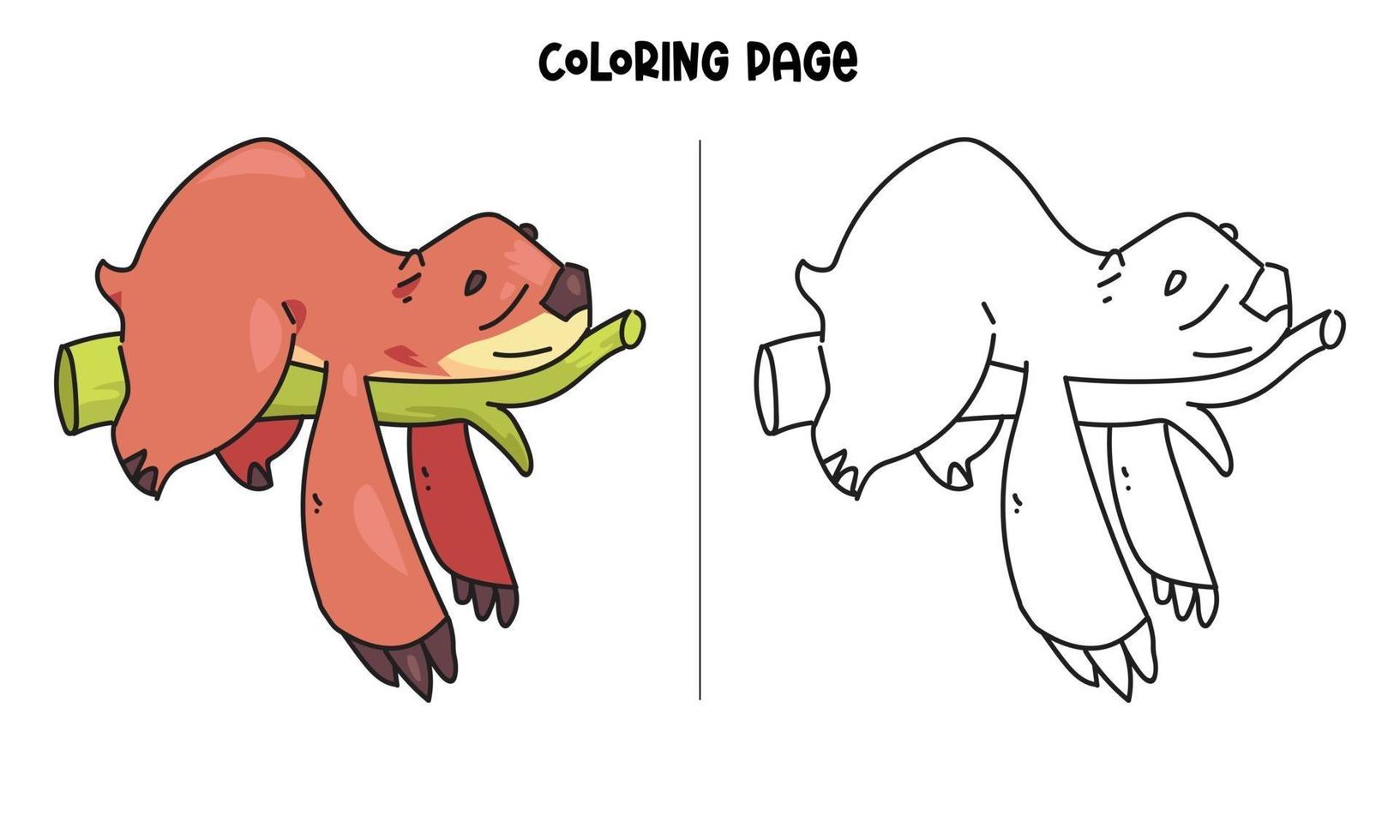 Sloth Sleeping In The Tree Coloring Page vector