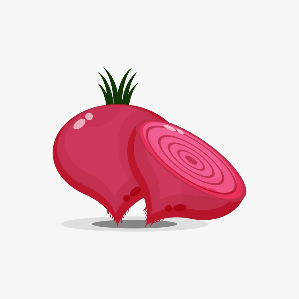 Beetroot and beetroot slices vector