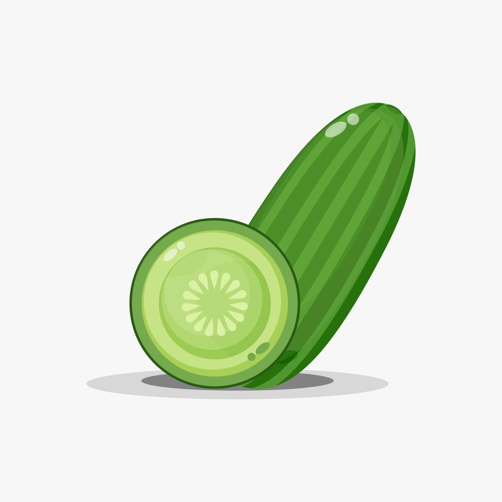 Cucumber and cucumber slices vector