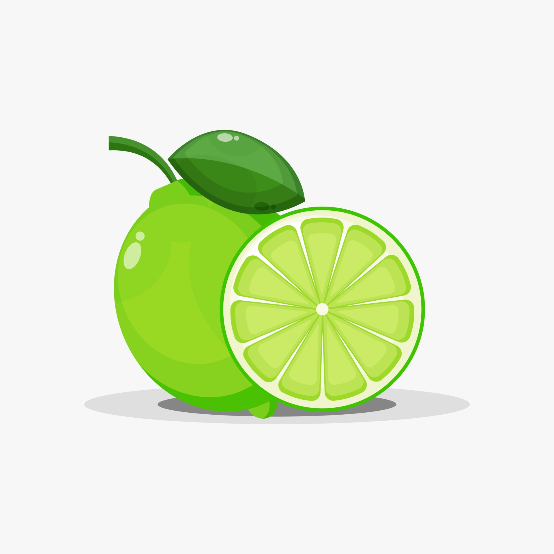 Lime And Lime Slices Vector Art At Vecteezy Lime And Lime Slices Vector Art At Vecteezy