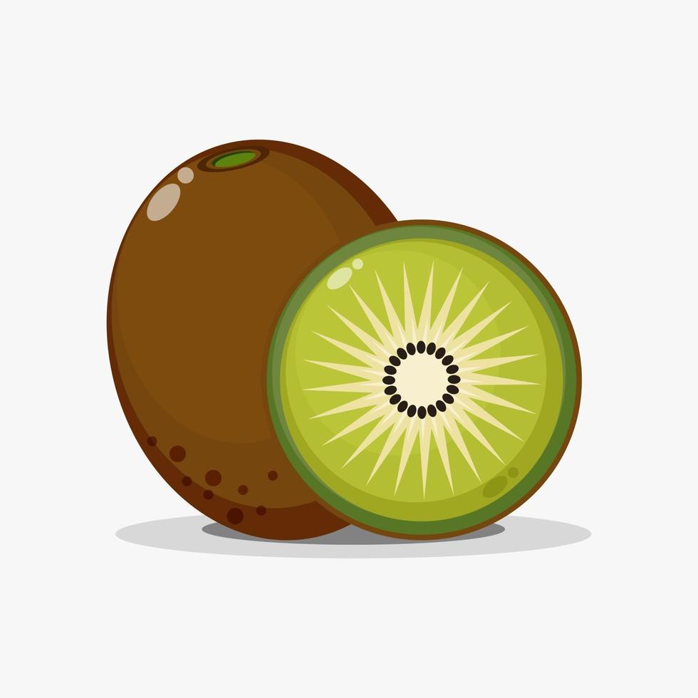 kiwi y rodajas de kiwi vector