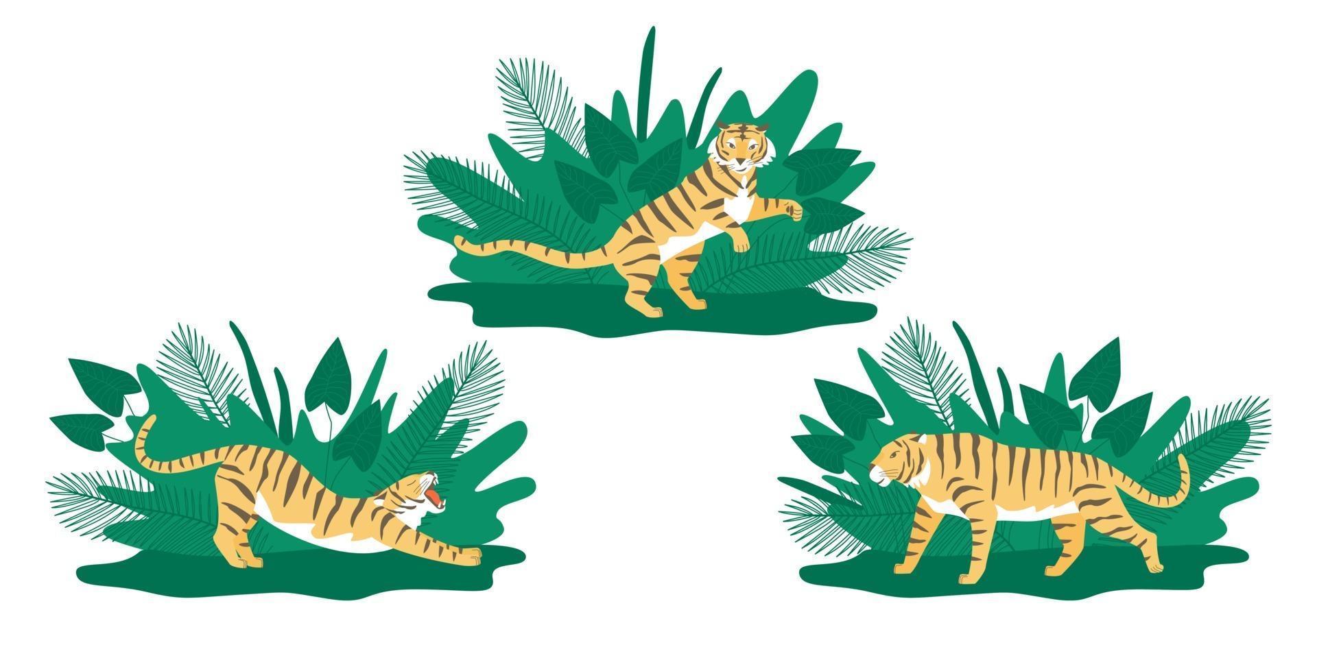 Set with tiger poses vector