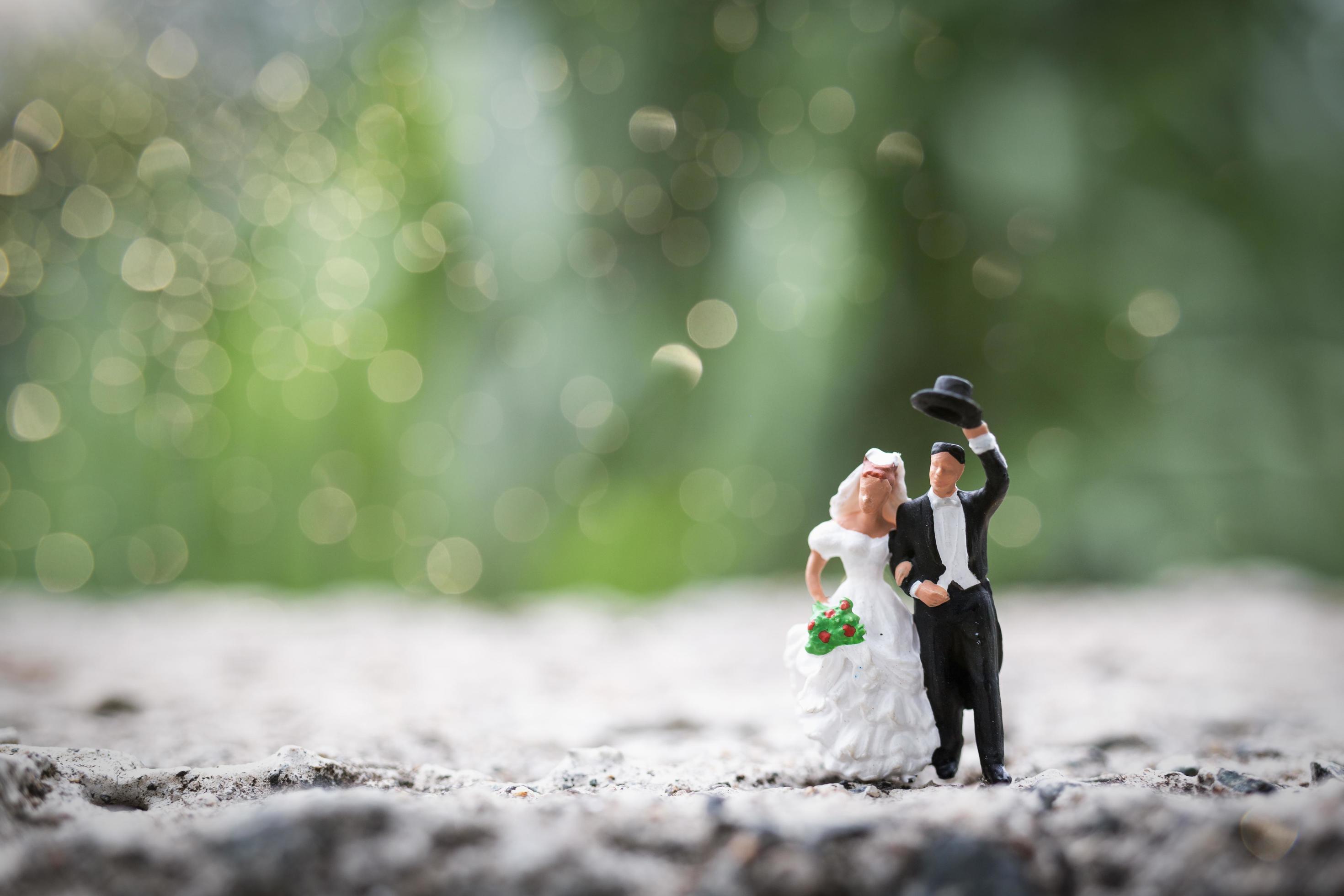 Miniature bride and groom standing outdoors with a blurry nature background  2148957 Stock Photo at Vecteezy