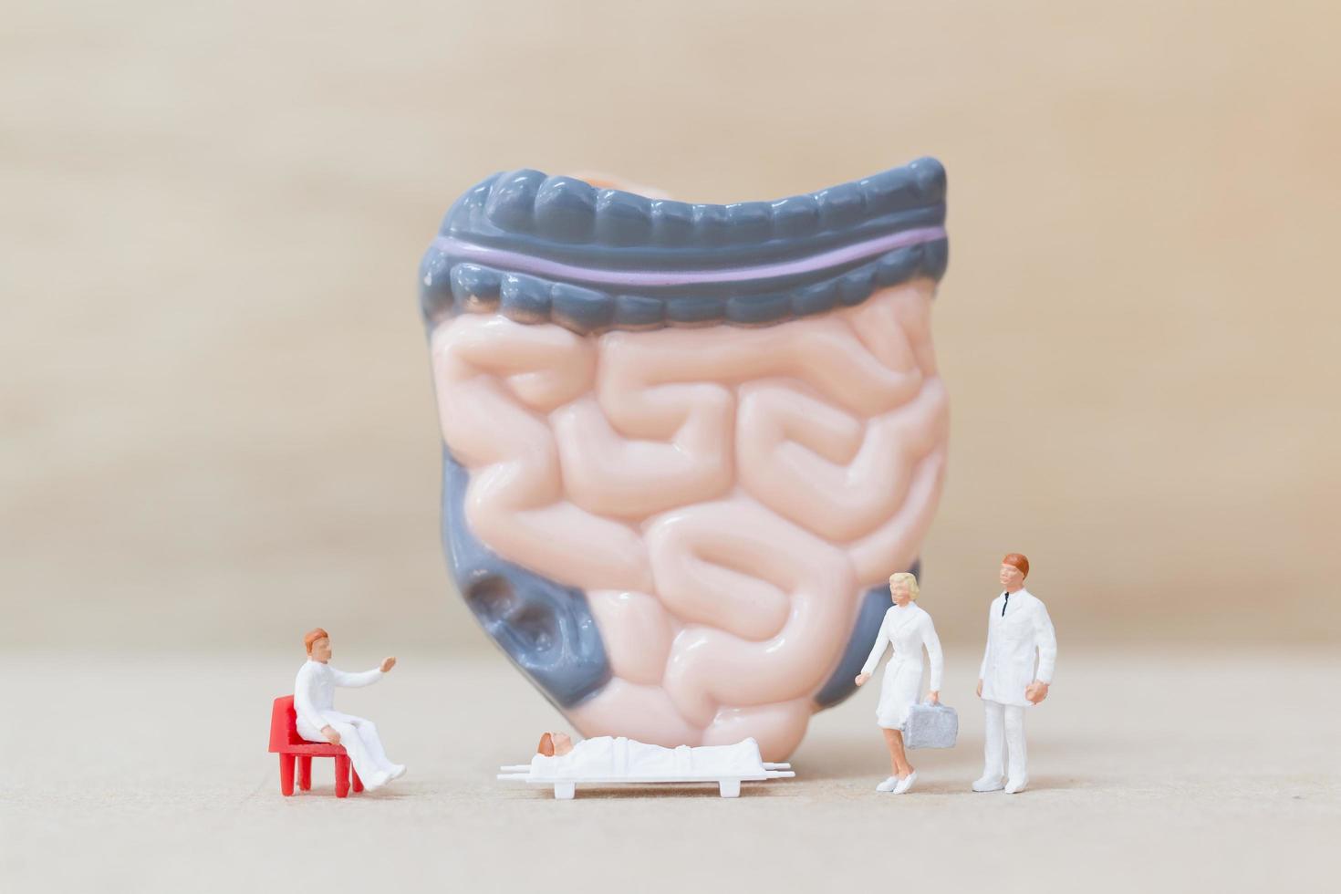 Médicos y enfermeras en miniatura observando y discutiendo el intestino humano, la ciencia y el concepto médico. foto