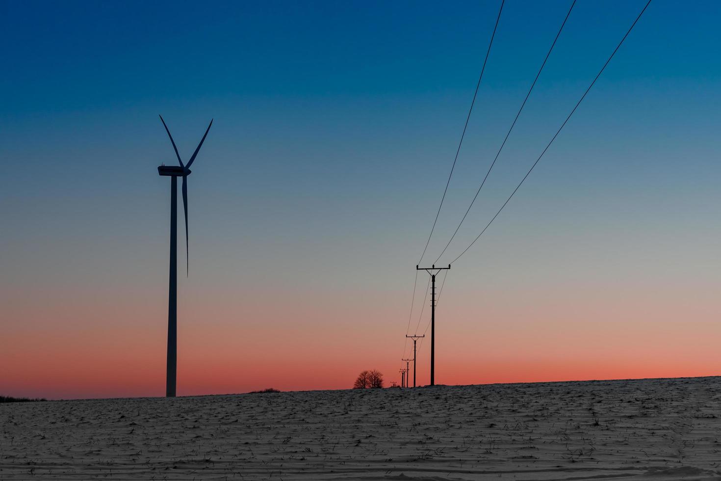 Planta de energía eólica en el campo junto a una línea eléctrica al atardecer foto