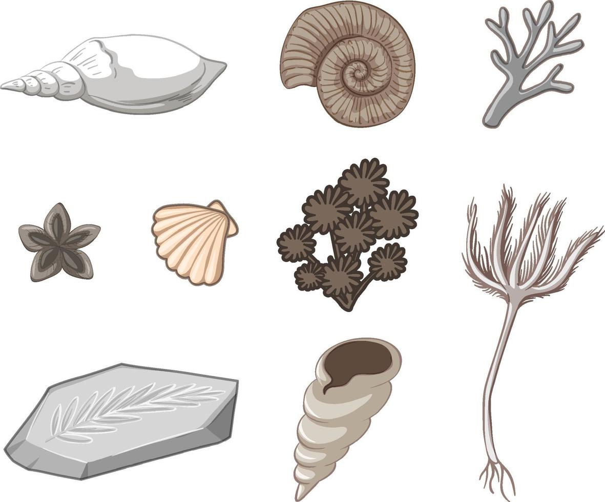 Set of sea object isolated vector