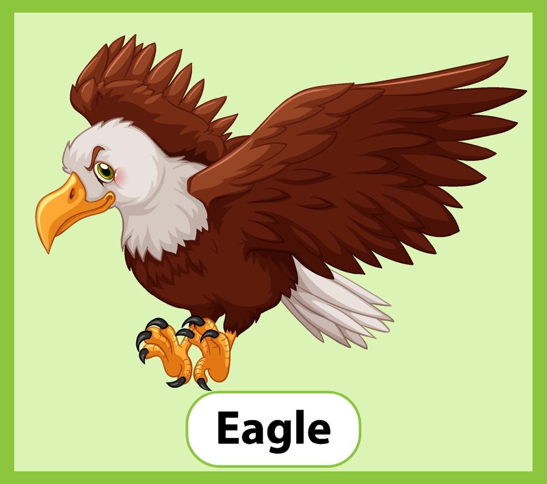 Educational English word card of eagle vector