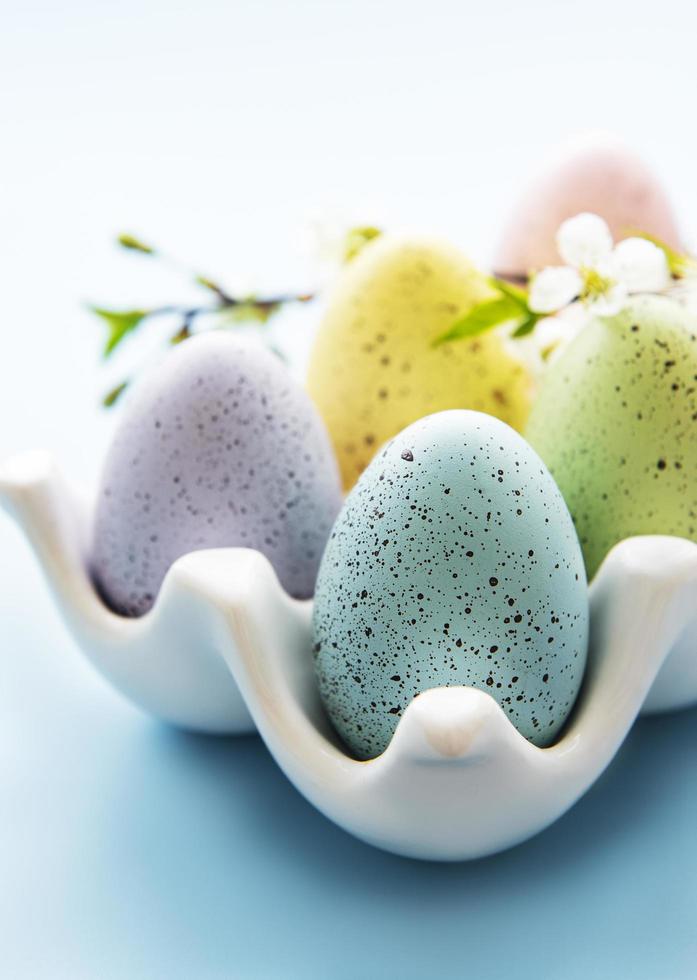 Easter eggs in egg tray and spring blossom photo