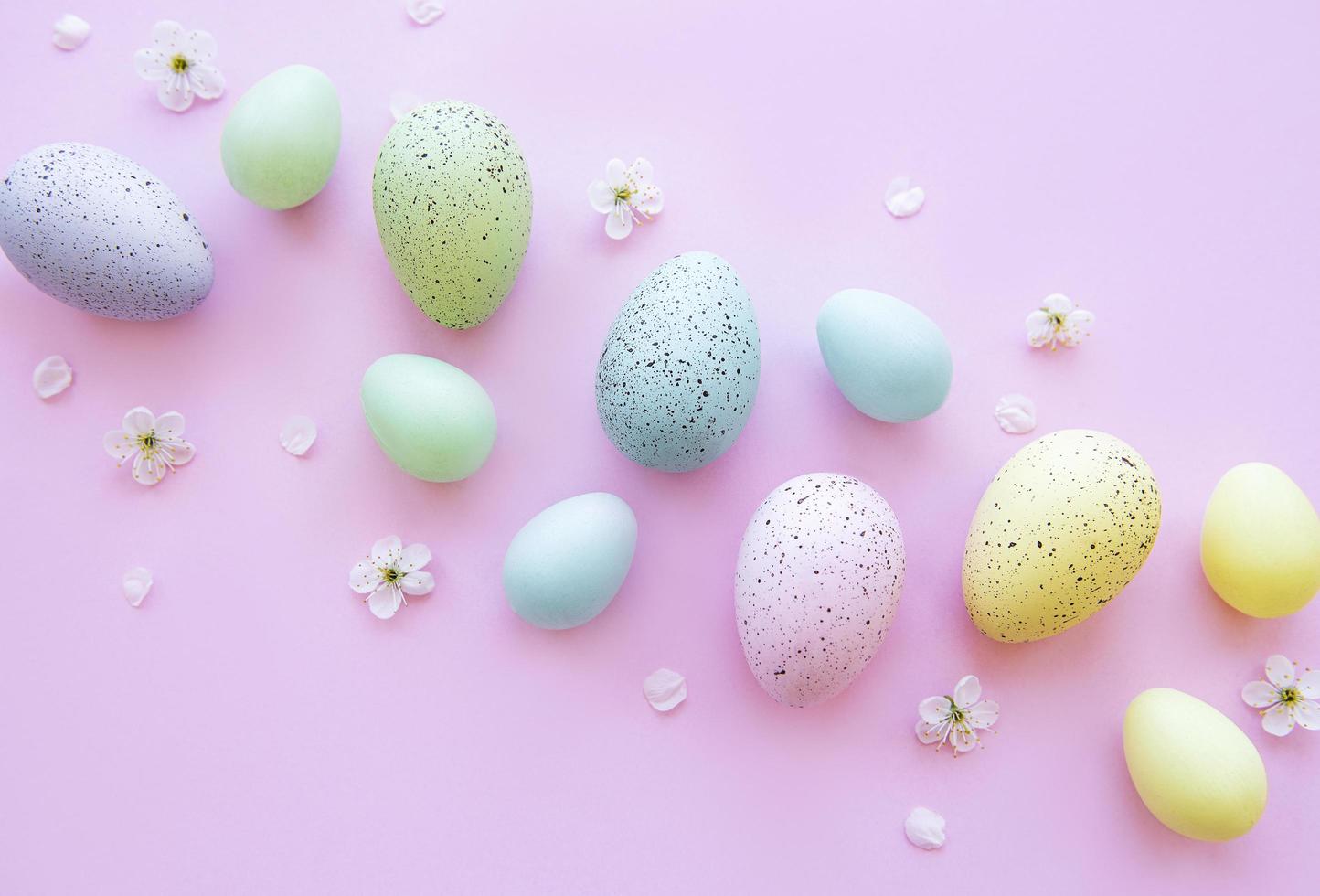 Colorful Easter eggs with spring blossom flowers photo