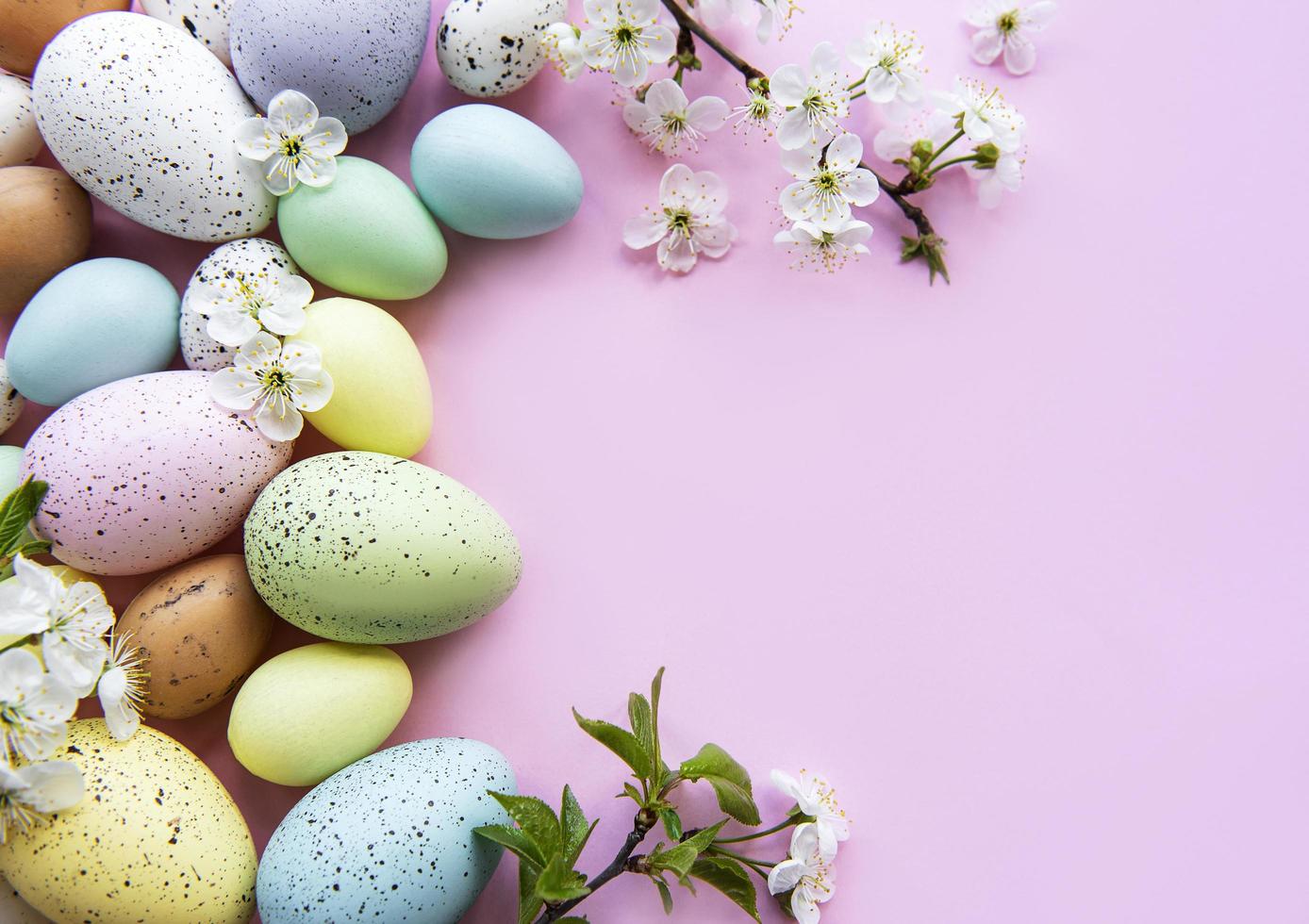 Colorful Easter eggs with spring blossom flowers photo