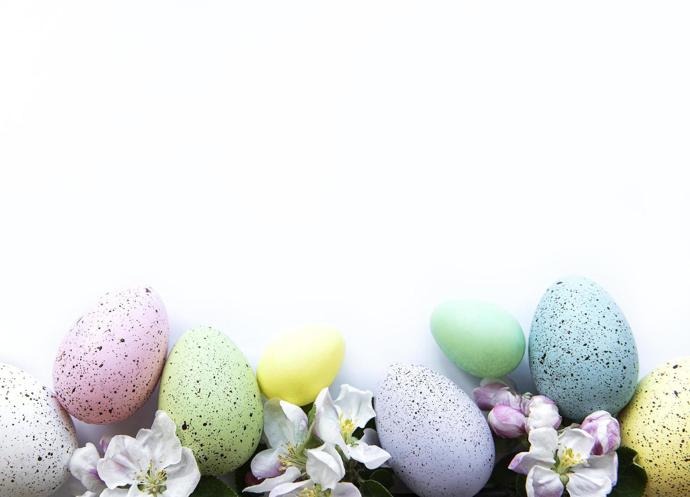 Colorful Easter eggs with spring blossom flowers photo