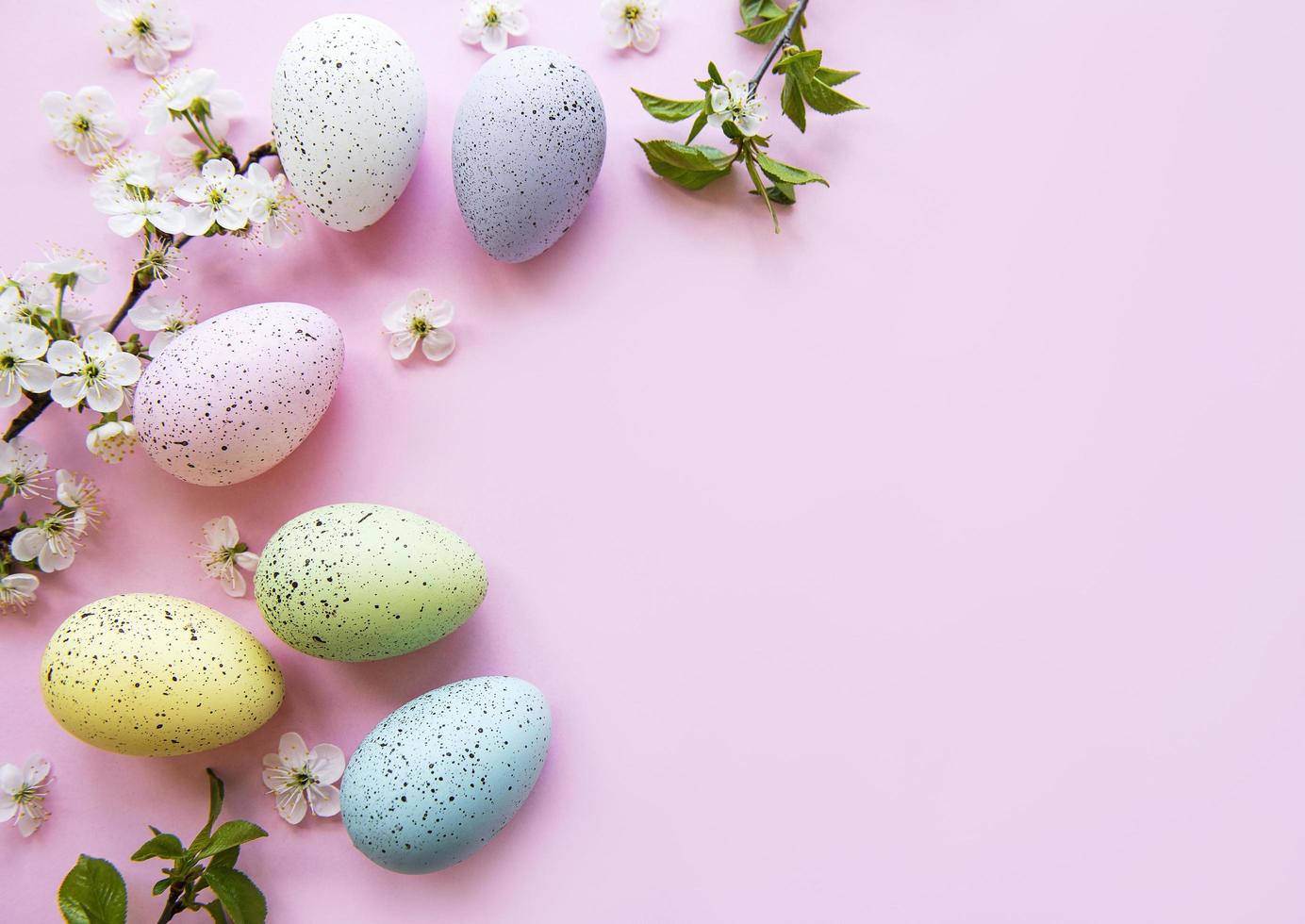 Colorful Easter eggs with spring blossom flowers photo