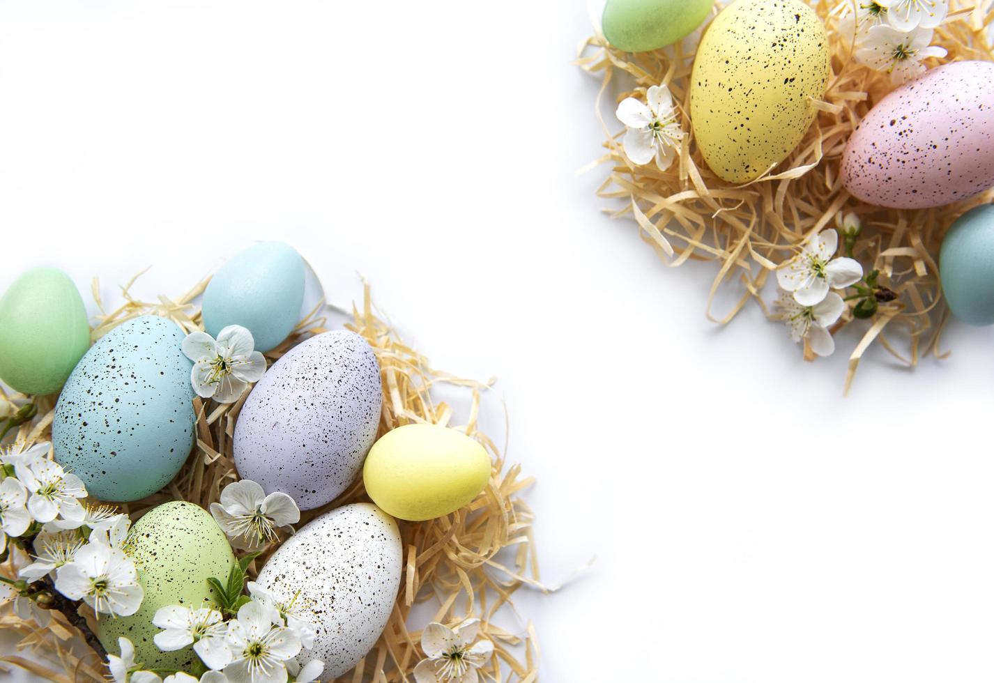 Colorful Easter eggs with spring blossom flowers photo