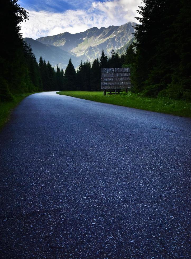 Road to the high mountains photo