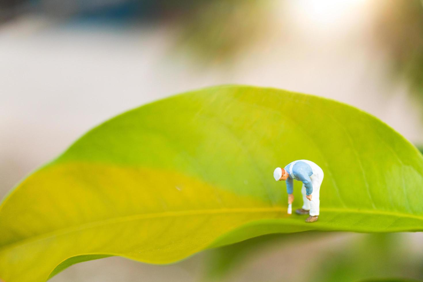 Miniature painter coloring on a green leaf with a blurred greenery background, environment concept photo